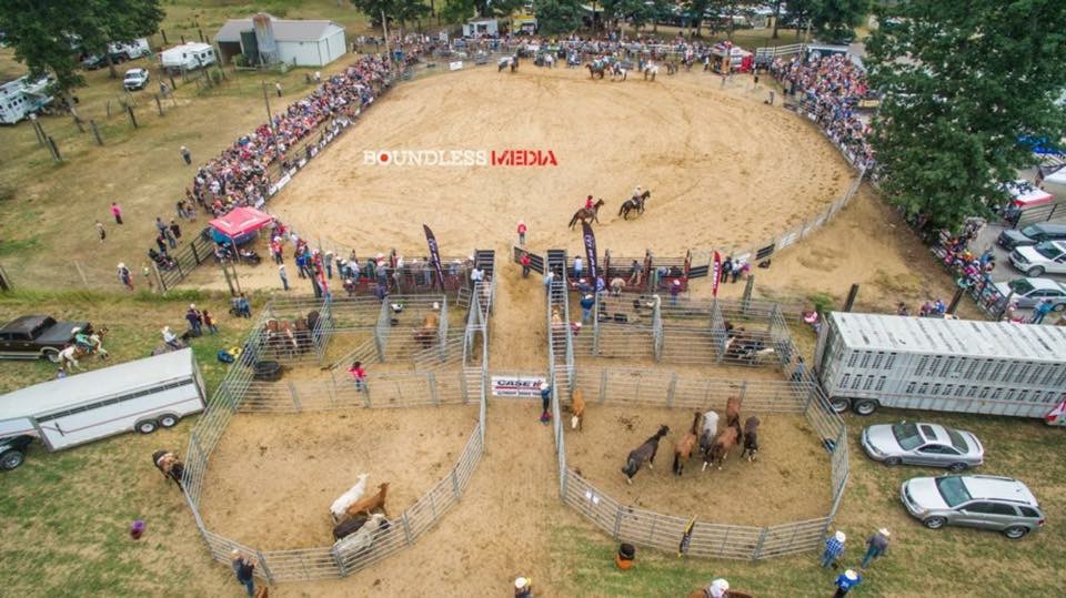 2016 rodeo arial